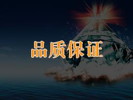 公司優(yōu)勢(shì)3